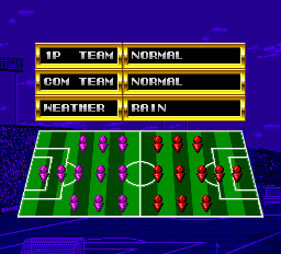 Tecmo World Cup Super Soccer Screenthot 2